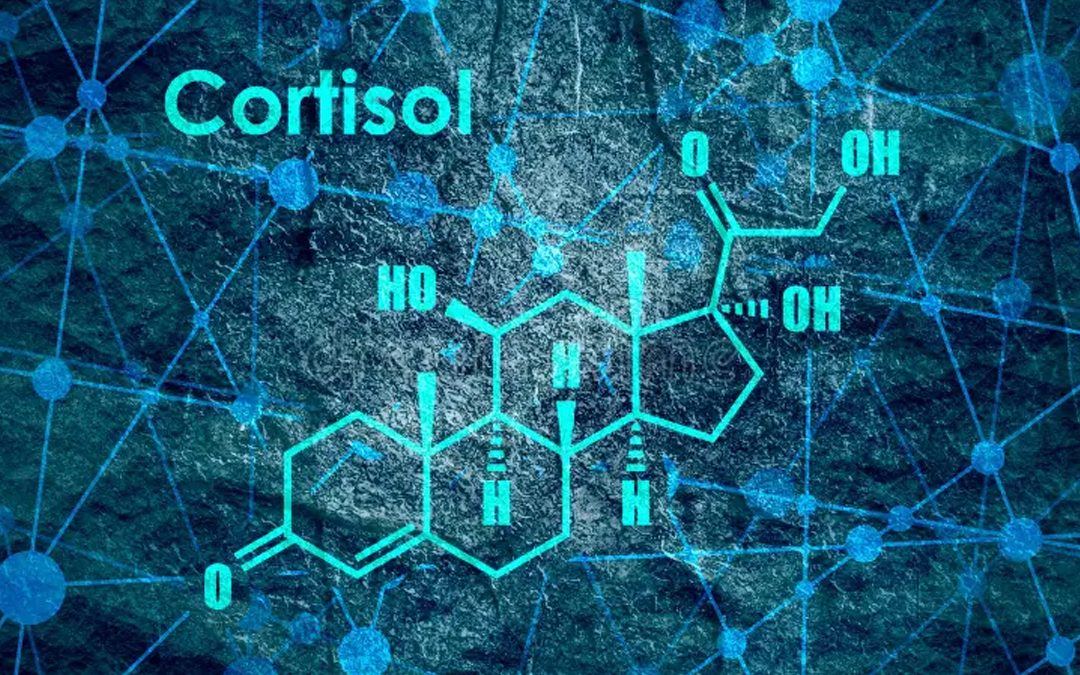 Cortisolo e Magnesio: Un Equilibrio Vitale per il Benessere